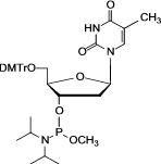 dT-Me Phosphoramidite