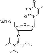 dT Ethyl Phosphoramidite