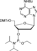 Bz-dA Ethyl Phosphoramidite