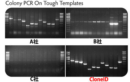 Cloneid 1x Colony Pcr Master Mix コロニーpcrやジェノタイピングに最適な酵素 緑色色素を含み直接ゲルに泳動可能 コスモ バイオ株式会社