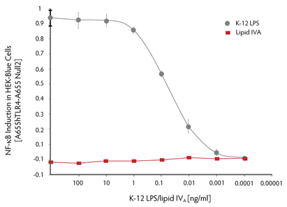 NF-kappaB誘導の相対比較