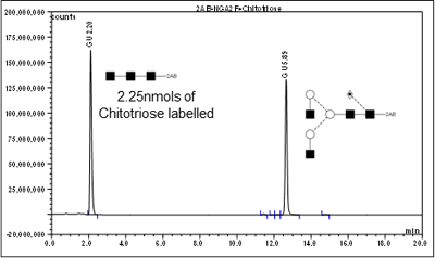 図1　2AB で標識した NGA2F（品番： CN-NGA2F-20U）及びキトトリオースグリカン（品番： BQ-CHITOTRIOSE-01）の HILIC UHPLC カラムクロマトグラフ。