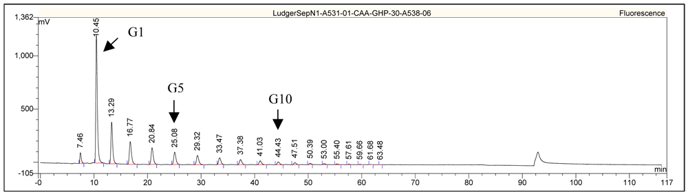 2AA Labeled Glucose Homopolymer（品番： CAA-GHP-30）の LudgerSepN1 HPLC プロファイル例