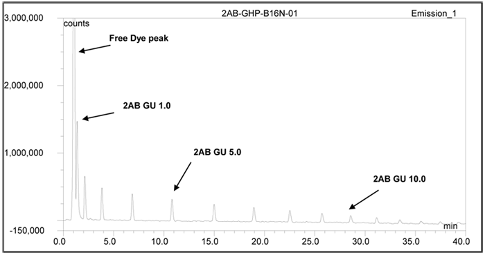 2AB labeled Glucose Homopolymer ladder（品番： CAB-GHP-30）の HILIC HPLC プロファイル例