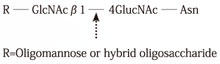 Endoglycosidase F1