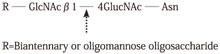 Endoglycosidase F2