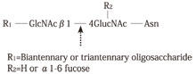 Endoglycosidase F3