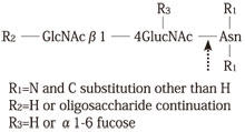 PNGase F