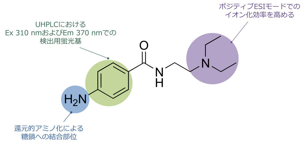 PROC (vJCA~h)