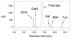 GlcN、GalN、Gal、Man、Fucの2-アミノ安息香酸標識蛍光クロマトグラム