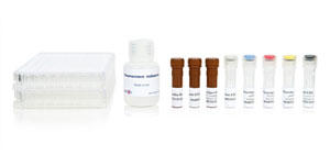 Human IFN-γ/Granzyme B FluoroSpot kit