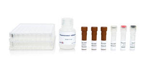 Human IFN-γ/Granzyme B FluoroSpot kit, pre-coated