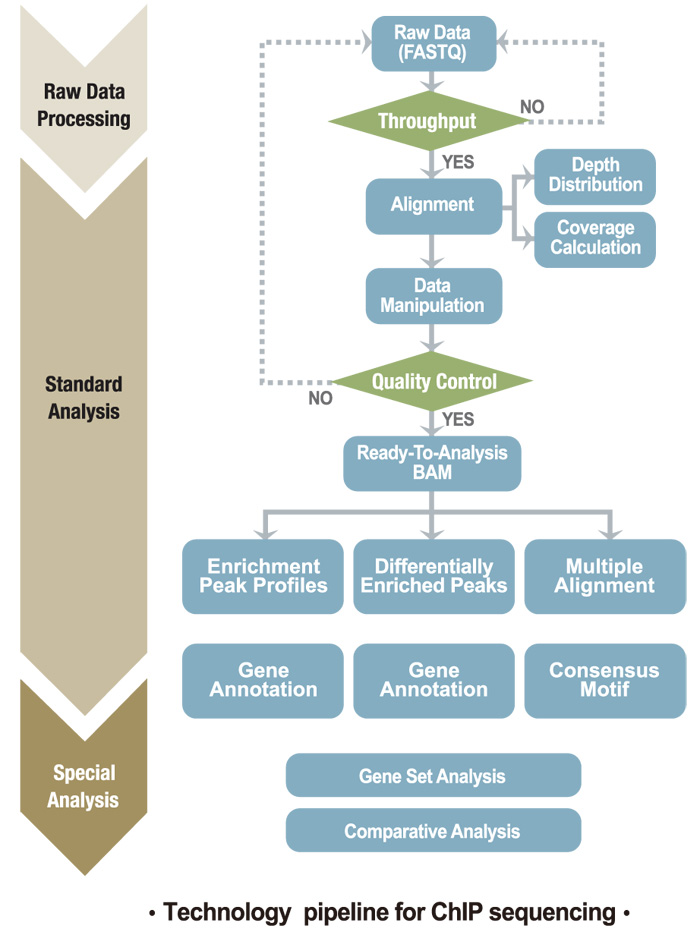 technology pipeline for ChIP sequencing