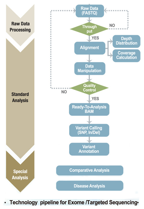 Technology pipeline for Exome/Targeted Sequencing