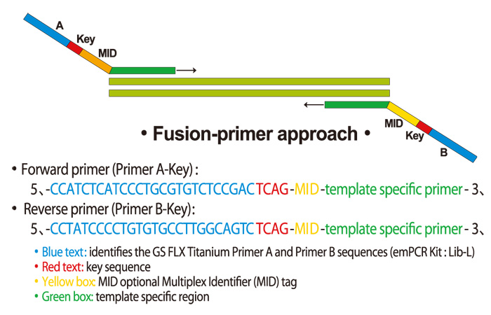 Fusion-primer approach