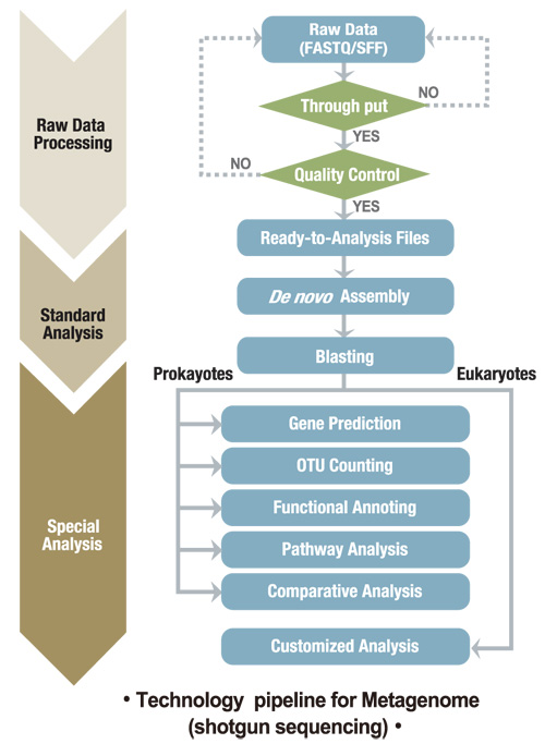 Technology pipeline for Metagenomeishotgun sequencingj