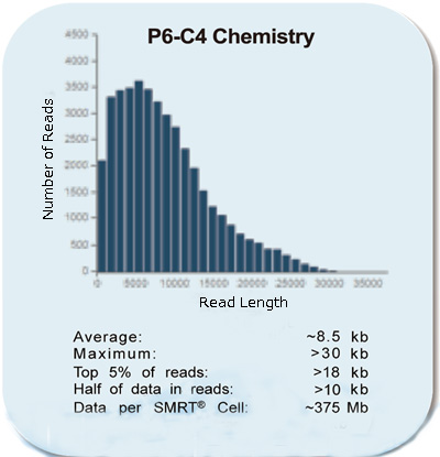 P6-C4 Chemistry