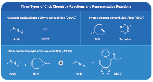 MCH_clickchemistry_02.png