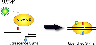 HTSXN[jOBridge-ItLbg