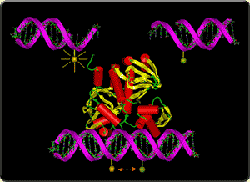 HTSXN[jOBridge-ItLbg