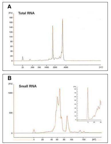 ラット肝臓のトータルRNA及びsmall RNAサンプルのアジレント社RNAナノチップ及びsmall RNA チップ解析