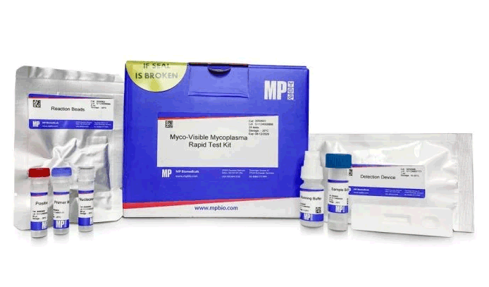 Myco-Visible Mycoplasma Rapid Test Kit�̎ʐ^