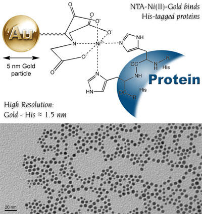 Ni-NTA-Nanogold®