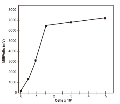 図2細胞濃度が増加すると感度も増加するが、濃度が高すぎると細胞のセルフクエンチングにより感度は減少する。