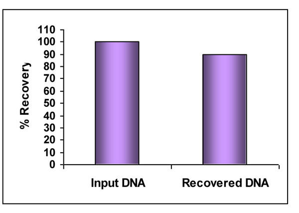 DNA