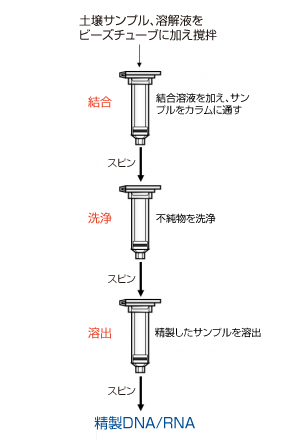 y뎎DNA^RNAoLbg̎gp@