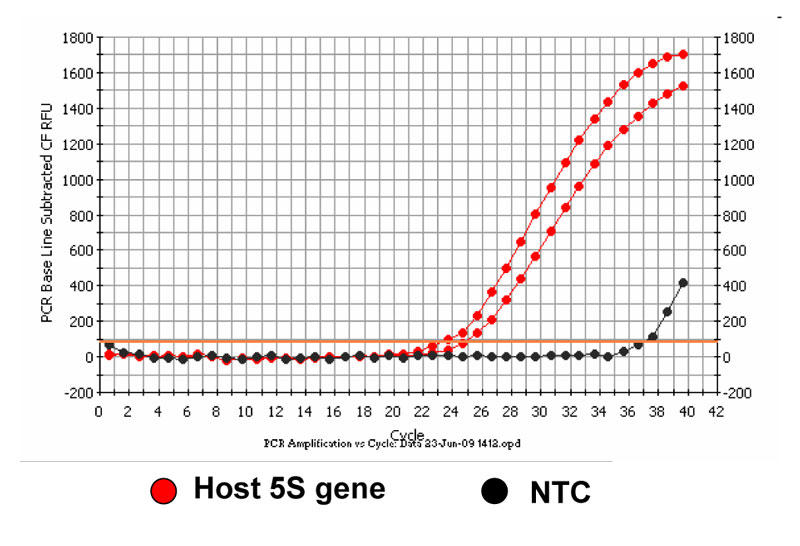 5Sプライマーを用いたリアルタイムPCRによる宿主由来DNAの検出