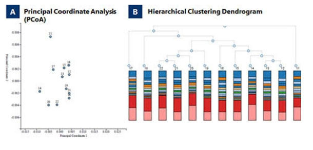 tłMiSeq 16s rRNA^Qm̓f[^