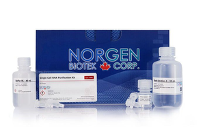 Single Cell RNA Lbg iVOZ RNA Lbgj