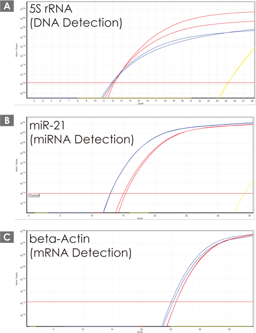 nX^[BTvADNAAg[^RNAimicroRNA܂ށj