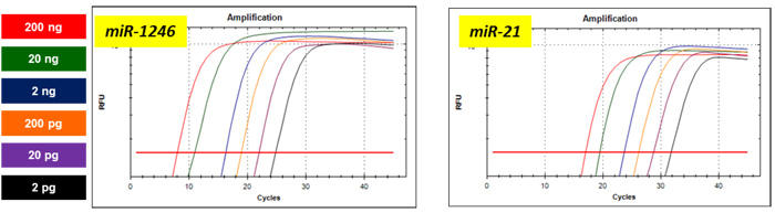 xŃoXg microRNA