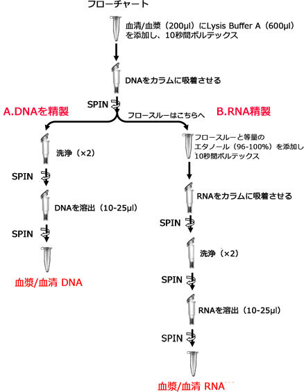 Norgen社Plasma/Serum RNA/DNA Purification Mini Kitの使用手順フローチャート。