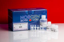 NorgenPlasma/Serum RNA/DNA Purification Mini KitB