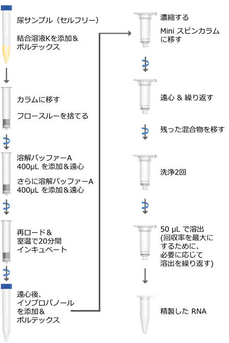 Urine Cell-Free Circulating RNA Purification Midi Kit vgR[