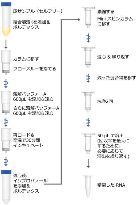 Urine Cell-Free Circulating RNA Purification Maxi Kit vgR[