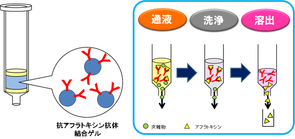 MycoCatchトータルアフラトキシン | aflatoxin の測定に有用なアフィニティーカラム | コスモ・バイオ株式会社