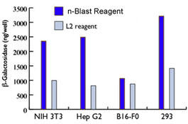 n-Blast gXtFNV̎gpf[^