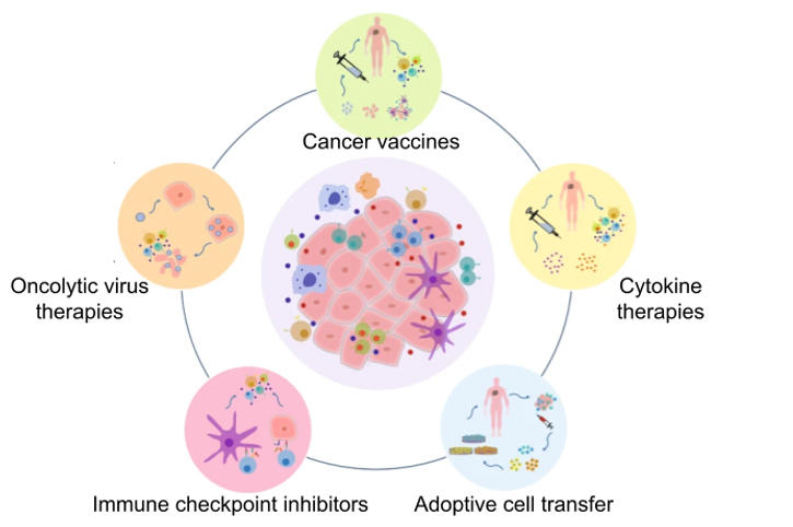 NVP_immunology_protein_02.jpg