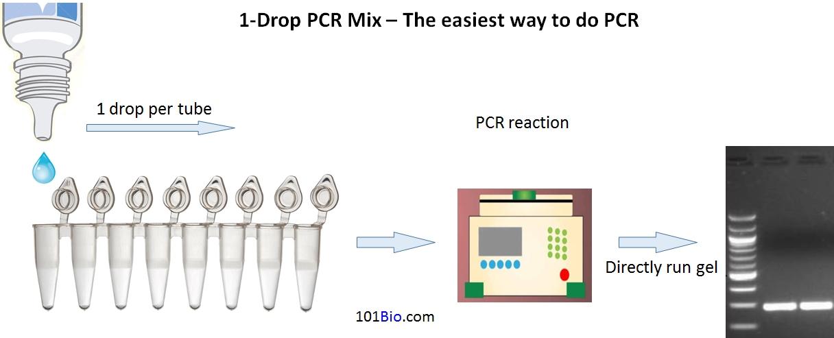 1-Drop PCR Mix - The easiest way to do PCR