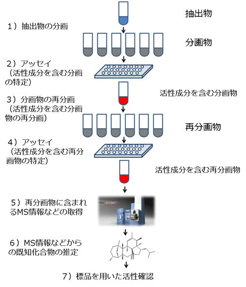 既知化合物推定の工程
