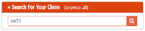 ORG_AAVS1_Transgene_Insertion_1