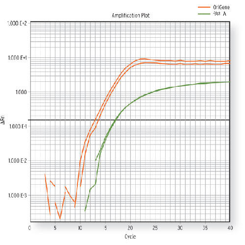 SensiMix SYBR }X^[~bNX܂͑SYBR }X^[~bNXpāAABI7900HTœqPCR s