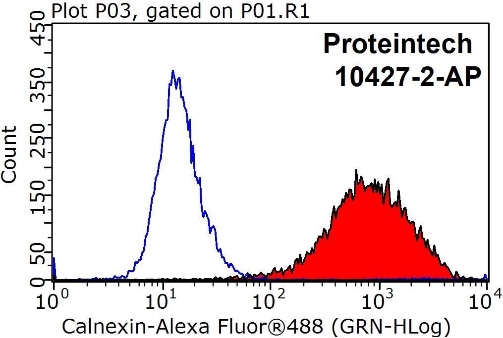 1X10^6 HeLa cells were stained with 0.2ug Calnexin antibody (10427-2-AP, red) and control antibody (blue). Fixed with 90% MeOH blocked with 3% BSA (30 min). Alexa Fluor 488-congugated AffiniPure Goat Anti-Rabbit IgG(H+L) with dilution 1:1000.