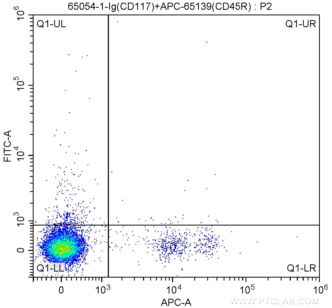 1X10^6 C57BL/6 mouse bone marrow cells were surface stained with APC Anti-Mouse CD45R (B220) (APC-65139, Clone: RA3-6B2), 1 ug Anti-Mouse CD117 (65054-1-Ig, Clone: 2B8) and FITC anti-rat IgG2b Antibody at dilution 1:200. Cells were not fixed.