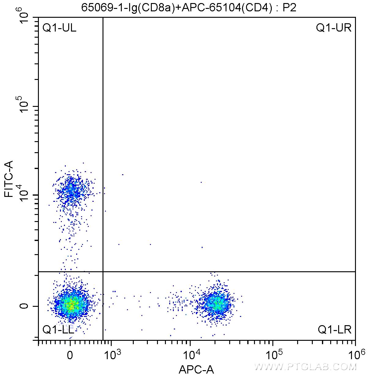 1X10^6 mouse splenocytes were surface stained with APC Anti-Mouse CD4 (APC-65104, Clone: GK1.5), and 0.5 ug Anti-Mouse CD8a (65069-1-Ig, Clone: 53-6.7) and FITC Anti-Rat IgG2a Antibody at dilution 1:200. Cells were not fixed.