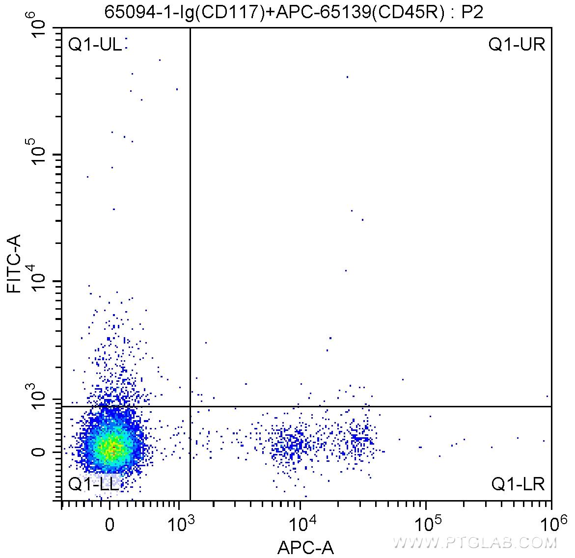1X10^6 C57BL/6 mouse bone marrow cells were surface stained with APC Anti-Mouse CD45R (B220) (APC-65139, Clone: RA3-6B2), 1 ug Anti-Mouse CD117 (c-Kit) (65094-1-Ig, Clone: ACK2) and FITC anti-rat IgG2b Antibody at dilution 1:50. Cells were not fixed.
